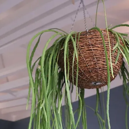 Lägenhet Madalena Views - Stylish & Luxury @ Baixa Lisboa